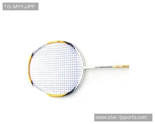 羽毛球装备选购指南及护具推荐助你提升运动安全与舒适度