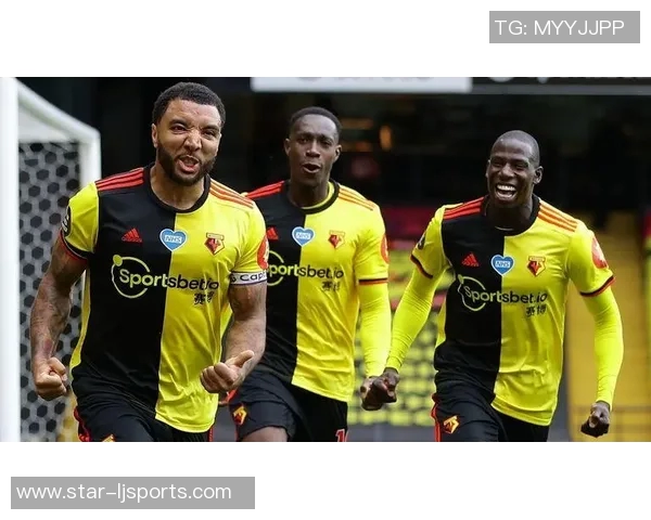 英超羽毛球赛季分析北京羽毛球队的全面优势与战术压制